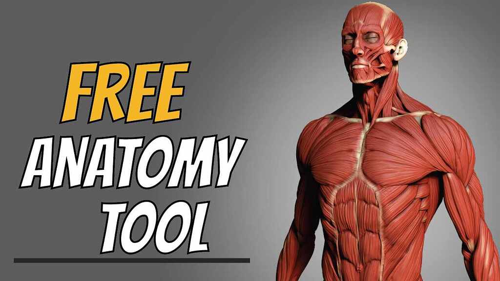 zbrush anatomy tools