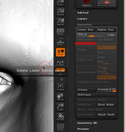 Answered: Can't delete LowerSubd... - ZBrushCentral