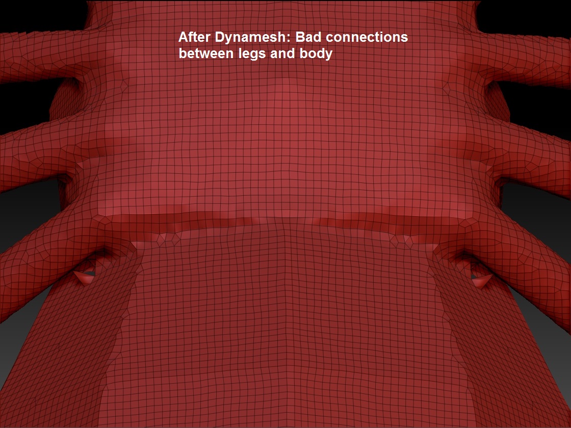 Spider4 afterDynamesh.jpg