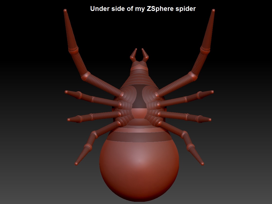 Spider1 zSphere .jpg