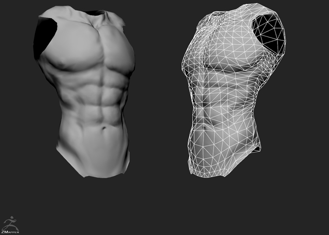 Torso_NormalMap.jpg