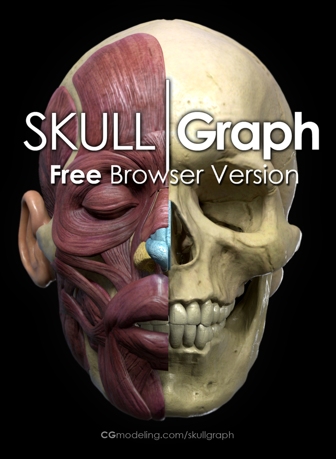 SKULL Graph - Free online anatomy tool - ZBrushCentral