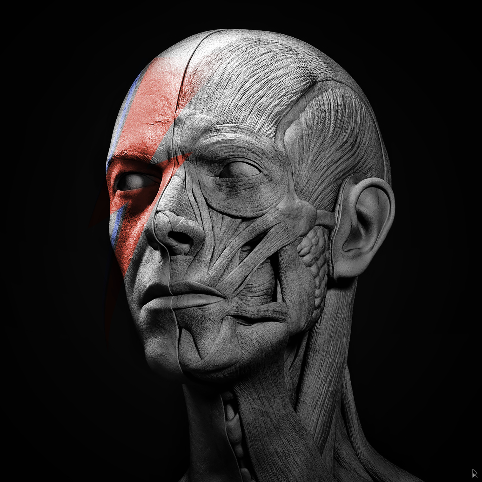 David Bowie - Anatomy Face + Free Download File - ZBrushCentral