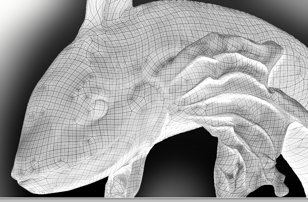 Snapz Pro XScreenSnapz019.jpg