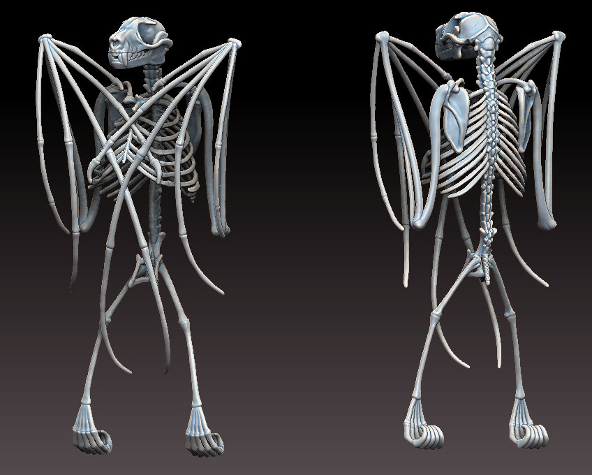 3D Printed/Digitally Sculpted Bat Skeleton(for bat conservation) -  ZBrushCentral