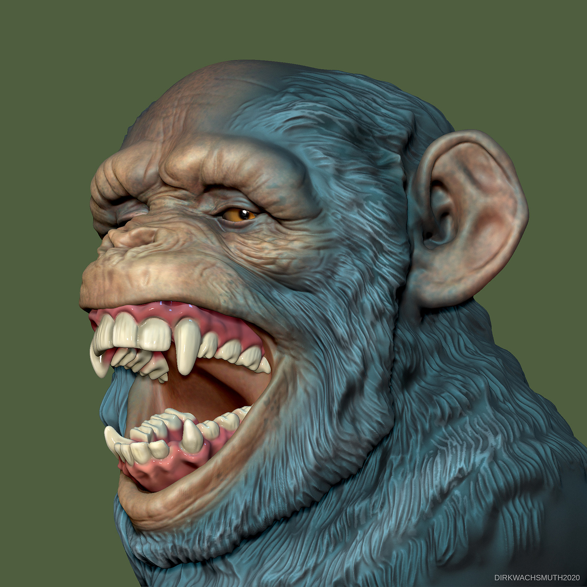 chimp_08