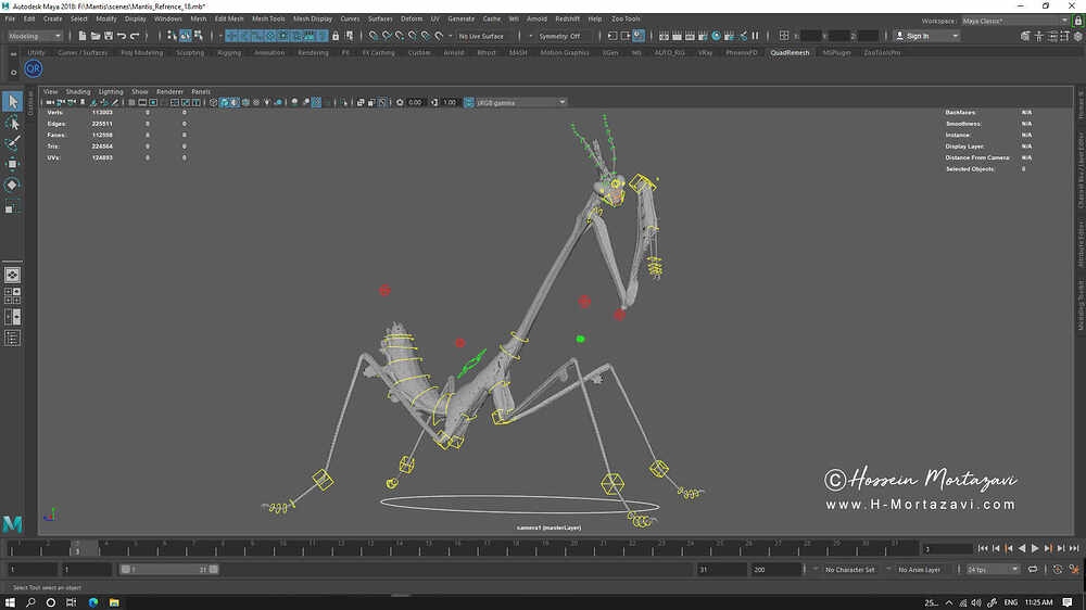 Praying Mantis_WIP03-www.h-mortazavi.com