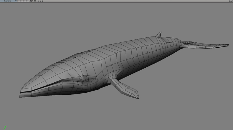 whale_wip01.jpg