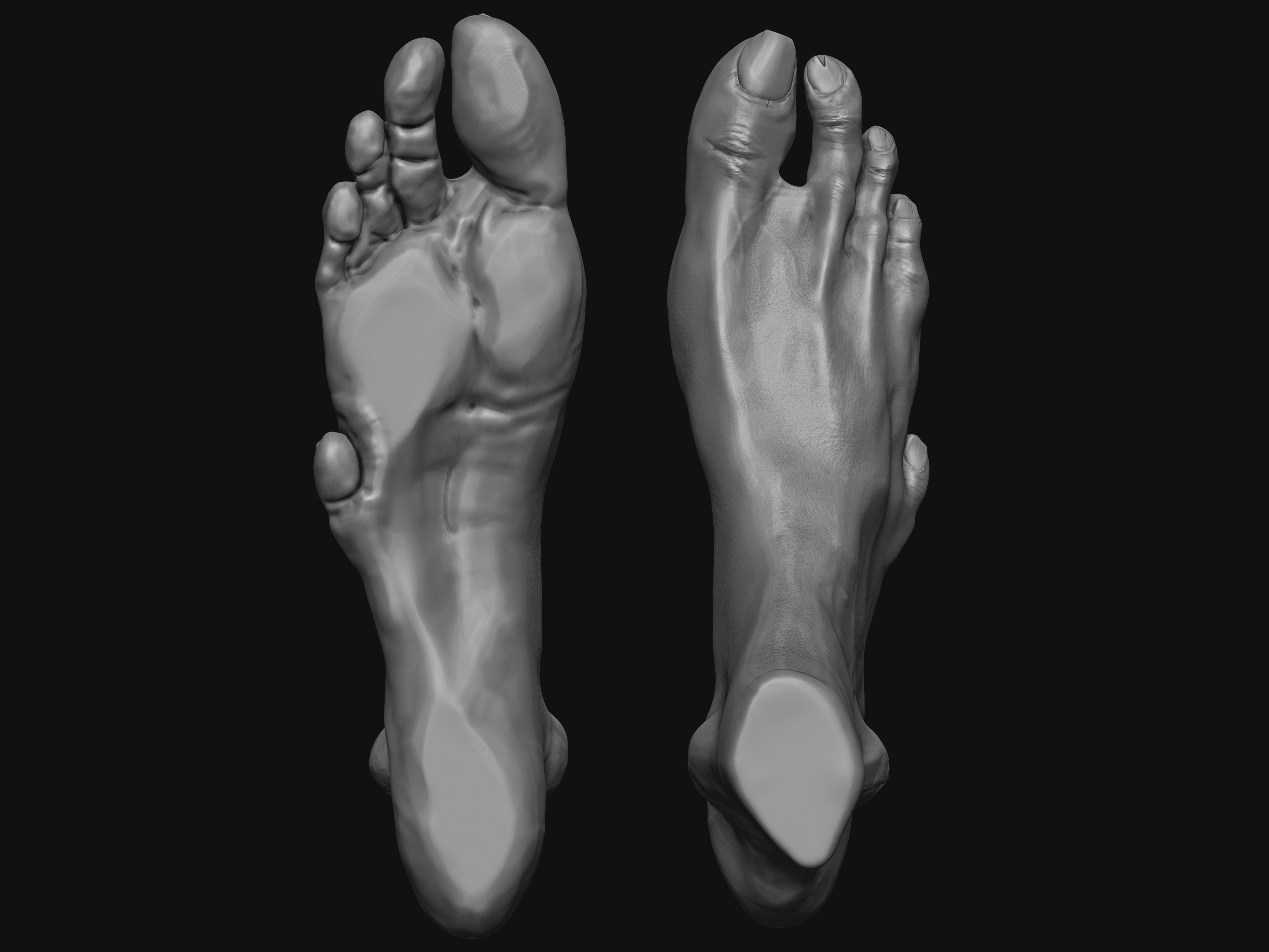 foot zbrush