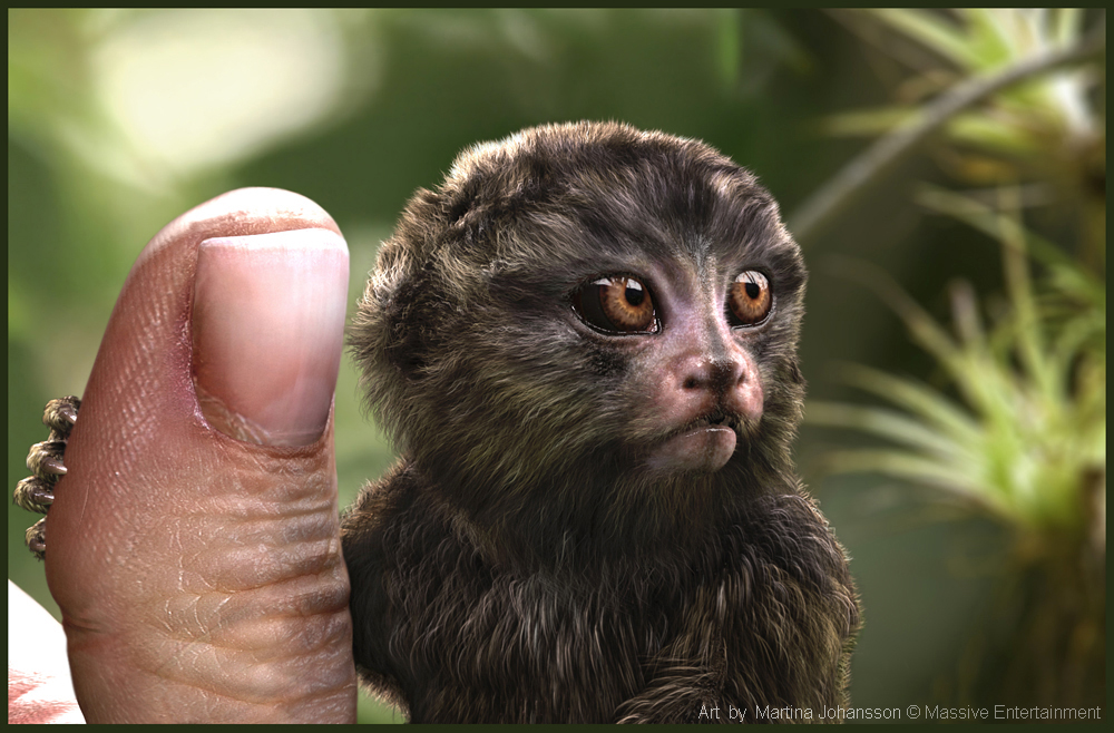 marmoset_5.jpg