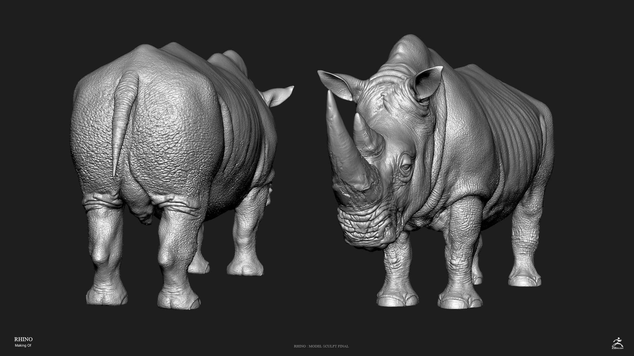rhinoceros в zbrush сложные форму
