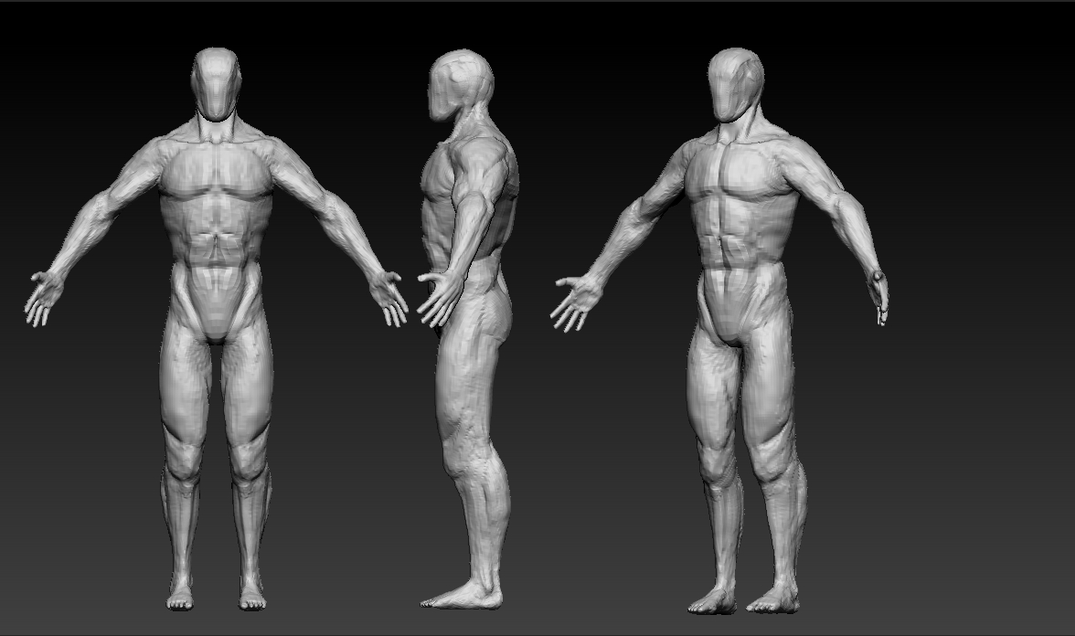 First Post and Male Anatomy help! - ZBrushCentral