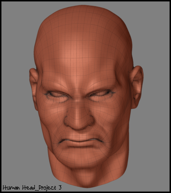 humanheadproject3af3.jpg