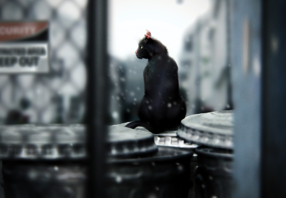 waiting for someonezbrush.jpg