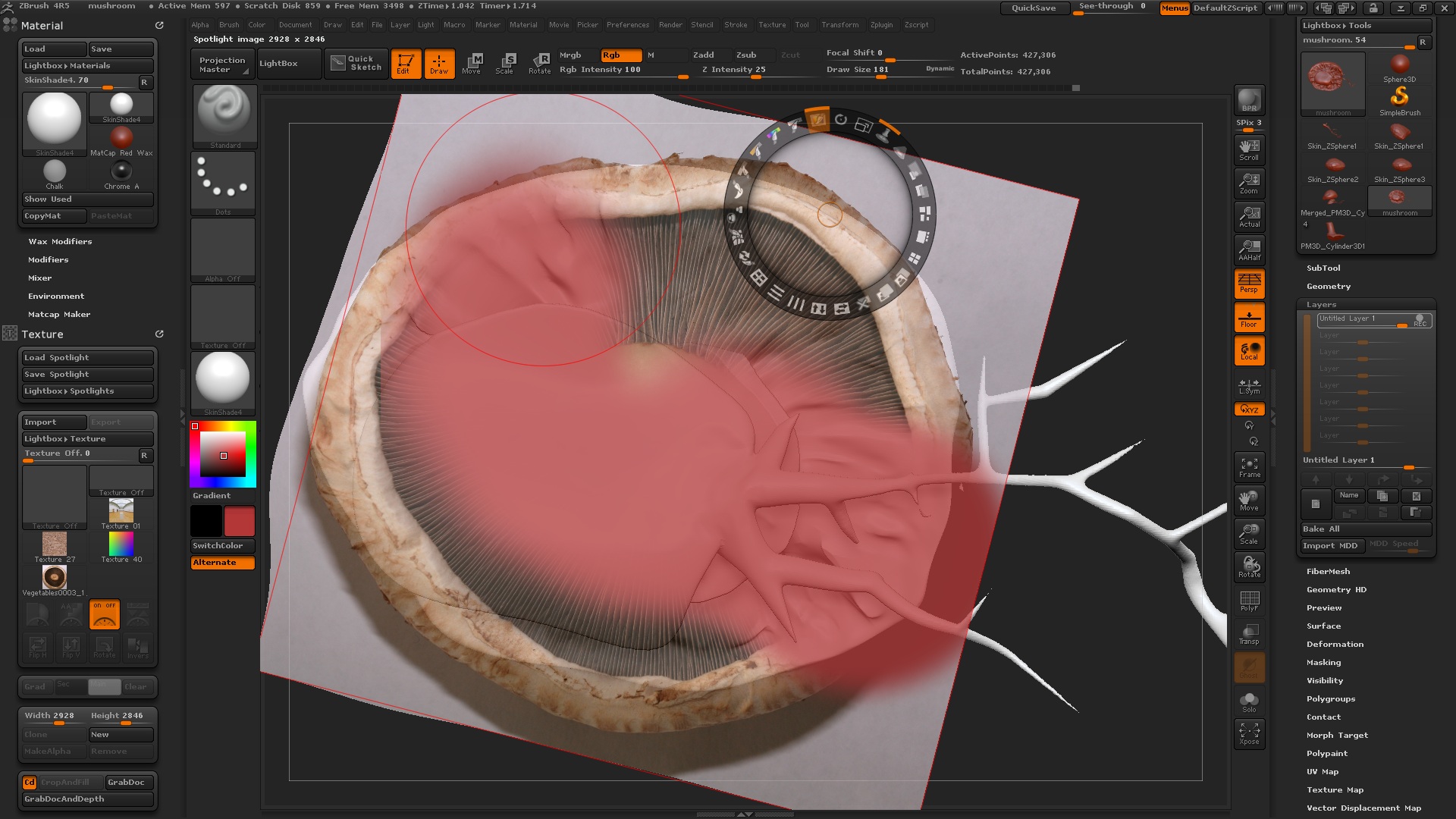 Answered!] Problems with Spotlight: Not painting texture onto model -  ZBrushCentral