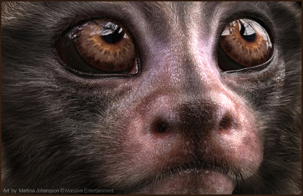 marmoset_9_r.jpg