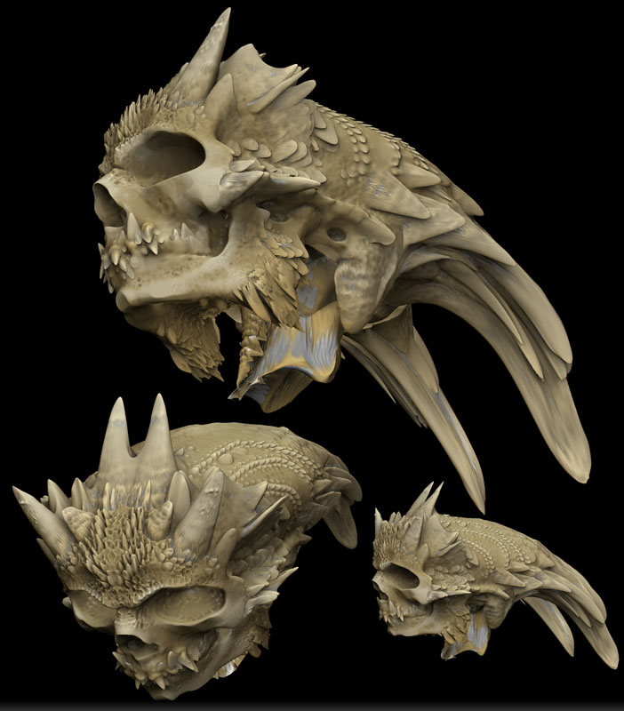 SCALED SKULL 6.jpg