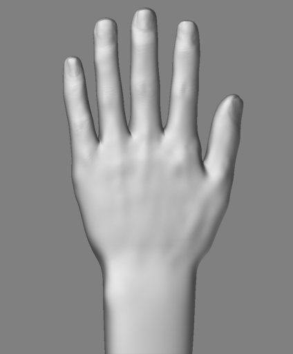 Hand-front.jpg
