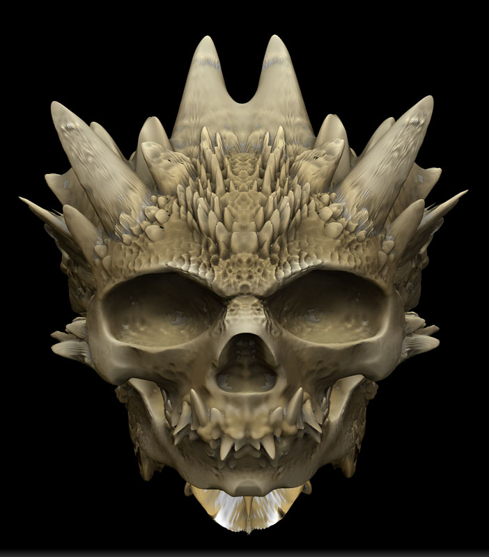 SCALED SKULL 7.jpg