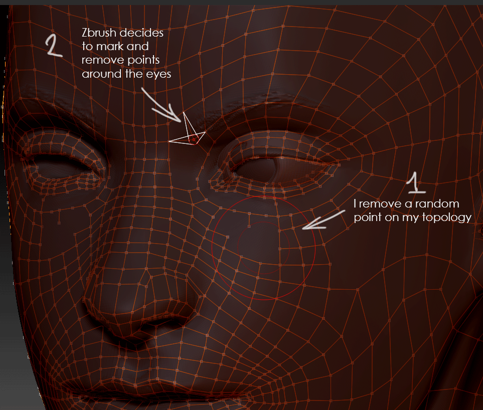 zbrush cant see topology