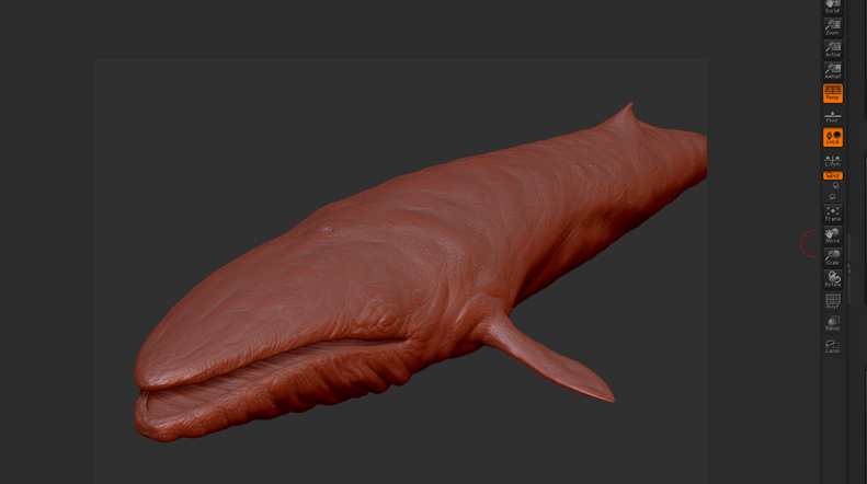 whale_wip04.jpg