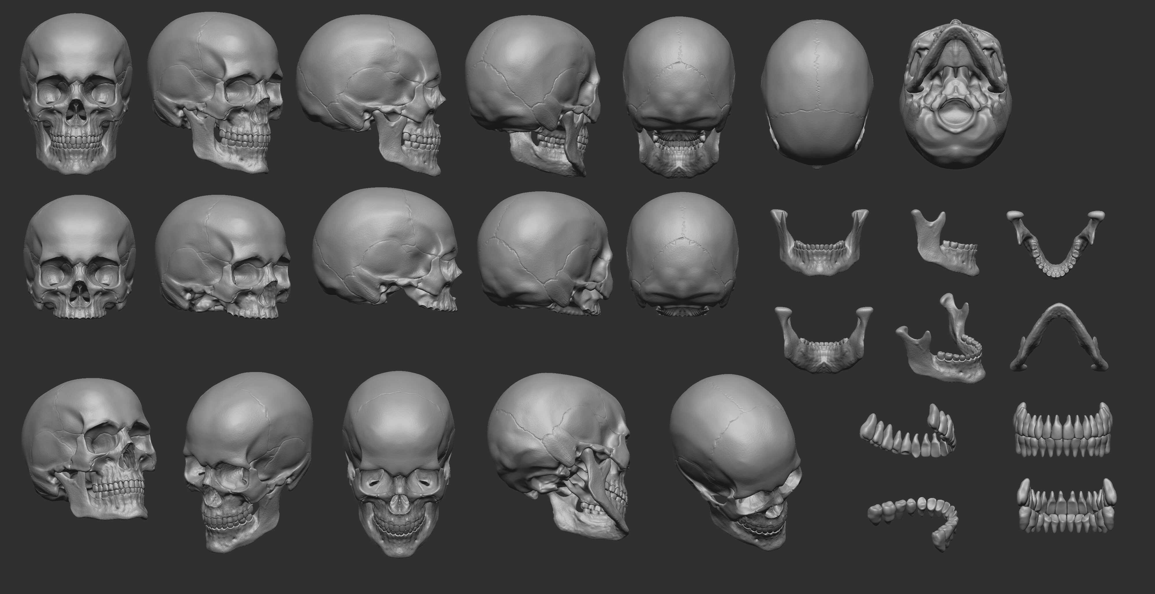 Cráneo - Práctica #2 - ZBrushCentral