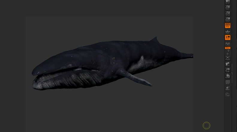 whale_wip05.jpg