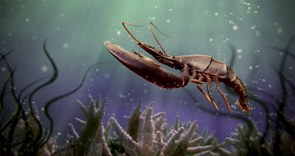 lobsterfinal3dtotal.jpg