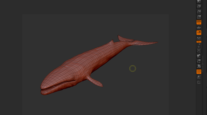 whale_wip02.jpg