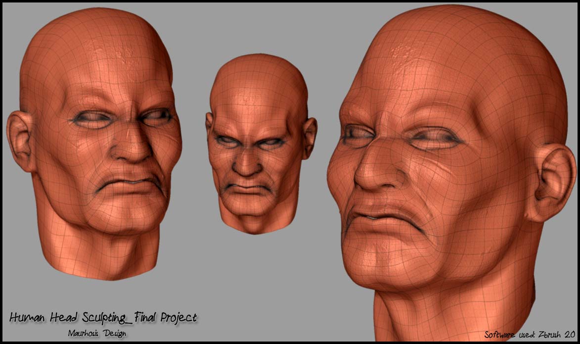 humanheadprojectfinalby4.jpg